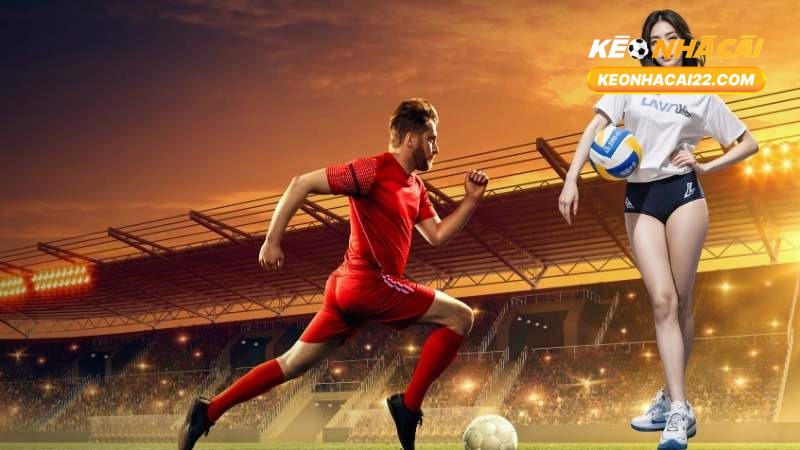 11Bet: Đánh Giá, Hướng Dẫn Đăng Ký Và Kinh Nghiệm Thực Tiễn 2025 3 11Bet