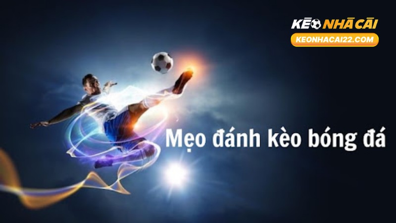 Kèo 1.25: Giải Thích Chi Tiết, Luật Chơi, Cách Tính Và Kinh Nghiệm 1 Kèo 1.25