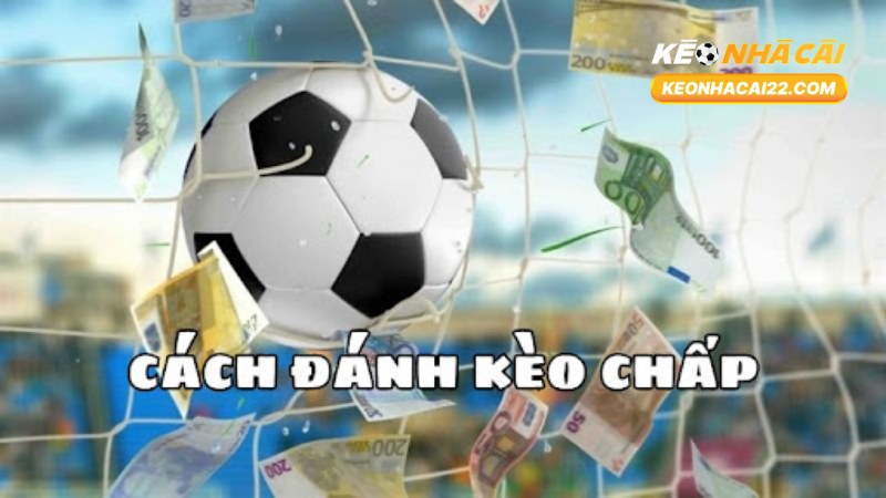 Kèo 1.25: Giải Thích Chi Tiết, Luật Chơi, Cách Tính Và Kinh Nghiệm 2 Kèo 1.25