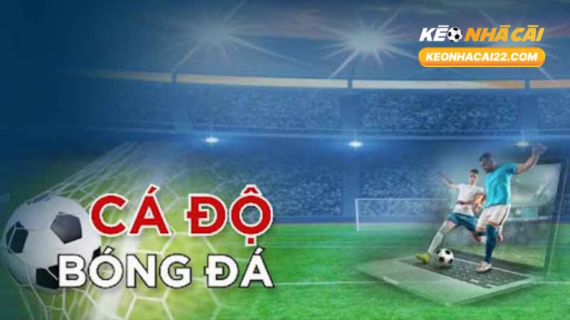 Kèo Chấp 0.5: Giải Thích, So Sánh Và Kinh Nghiệm Thắng Lớn 1 Kèo Chấp 0.5