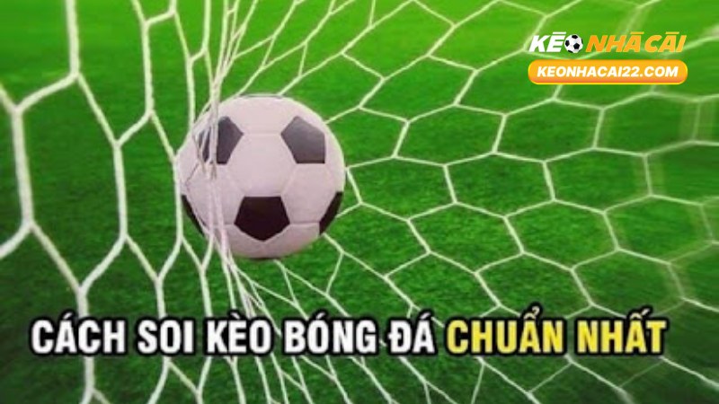 Kèo Chấp 1: Khái Niệm, Cách Chơi Và Kinh Nghiệm Thắng Lớn 1 Kèo Chấp 1