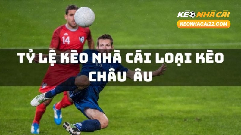 Kèo Châu Âu