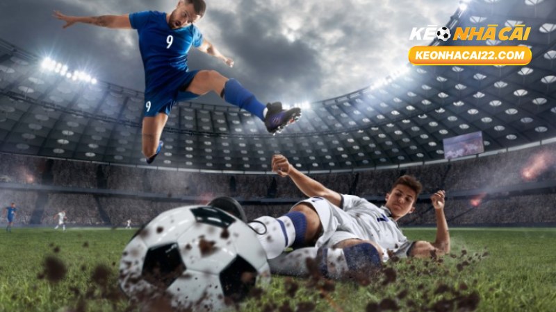 Kèo Đồng Banh Nửa Trái: Giải Mã, Cách Chơi & Kinh Nghiệm 3 Kèo Đồng Banh Nửa Trái