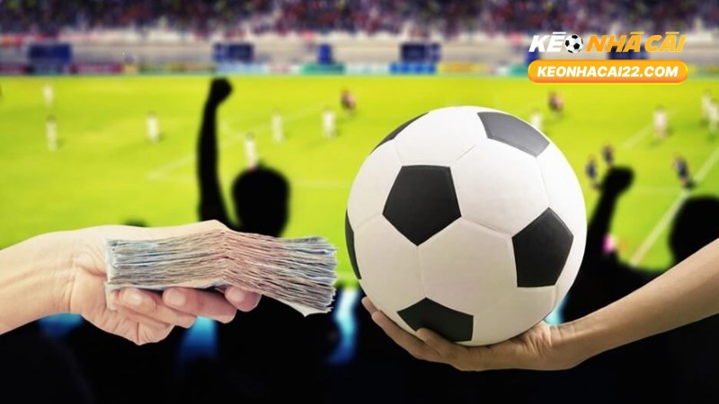 Payout Là Gì? Tìm Hiểu Toàn Diện Về Payout Trong Cá Cược 1 Payout Là Gì