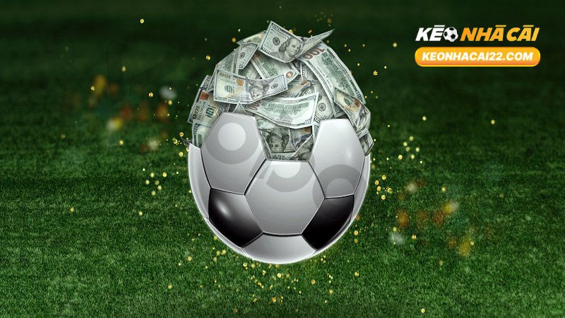 Payout Là Gì? Tìm Hiểu Toàn Diện Về Payout Trong Cá Cược 3 Payout Là Gì