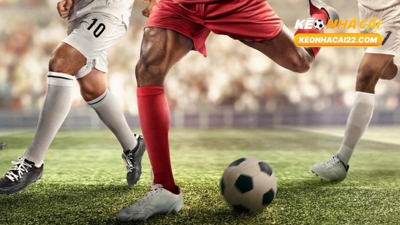 Pum88: Đánh Giá Toàn Diện, Hướng Dẫn Đăng Ký Và Trải Nghiệm Cá Nhân 3 Pum88