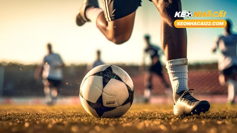 Stake Là Gì? Toàn Bộ Kiến Thức Về Stake Trong Cá Cược 2 Stake Là Gì