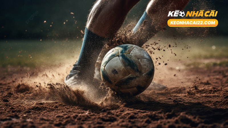 Stake Là Gì? Toàn Bộ Kiến Thức Về Stake Trong Cá Cược 3 Stake Là Gì
