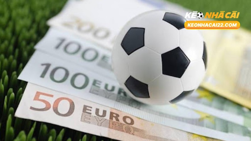 Win Half Là Gì? Giải Thích Chi Tiết, Ứng Dụng Và Kinh Nghiệm 3 Win Half Là Gì