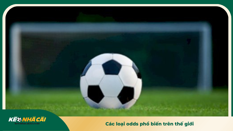 Các loại odds phổ biến trên thế giới