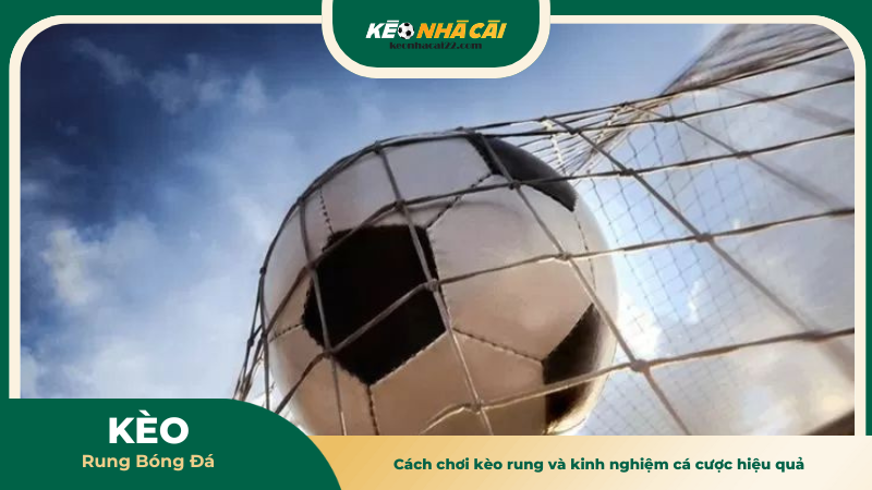 Cách chơi kèo rung và kinh nghiệm cá cược hiệu quả