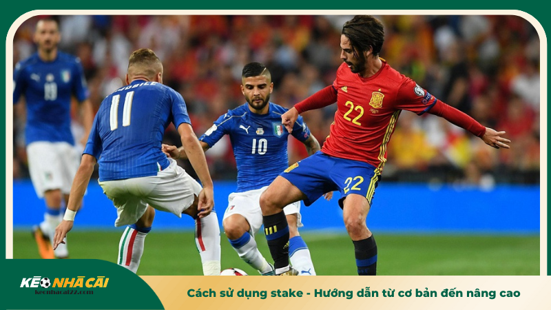 Cách sử dụng stake - Hướng dẫn chi tiết từ cơ bản đến nâng cao