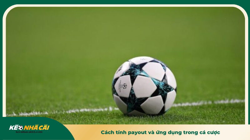 Cách tính payout và ứng dụng trong cá cược