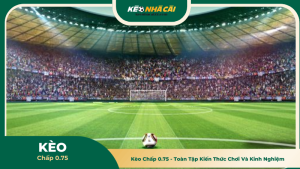 Kèo Chấp 0.75 - Toàn Tập Kiến Thức Chơi Và Kinh Nghiệm