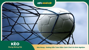 Kèo Rung - Hướng Dẫn Toàn Diện Cách Chơi Và Kinh Nghiệm