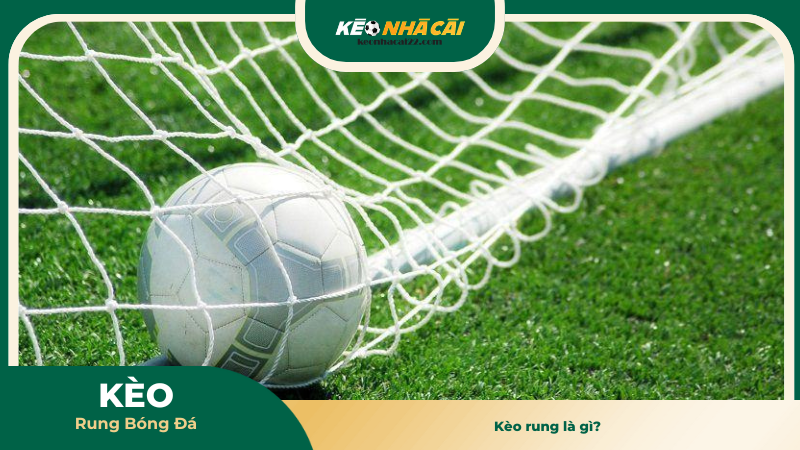 Kèo rung là gì? 