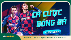 Lose Half Là Gì? Toàn Bộ Kiến Thức Và Cách Tính Chuẩn