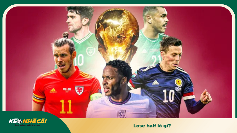 Lose half là gì?