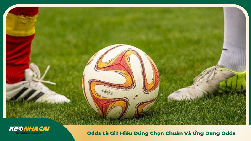 Odds Là Gì? Hiểu Đúng Chọn Chuẩn Và Ứng Dụng Odds