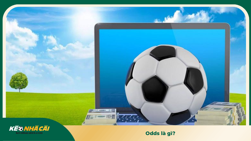 Odds là gì? 