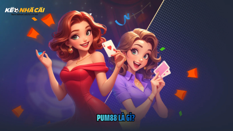 Pum88 Là Gì? 