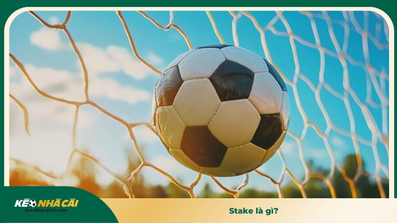 Stake là gì? 